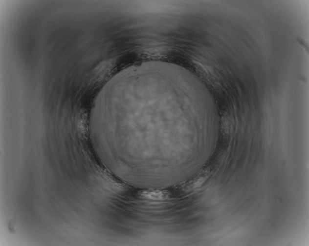 X0000097880181200804041622