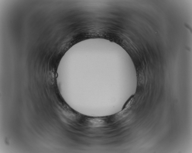 X0000097880183200804041622