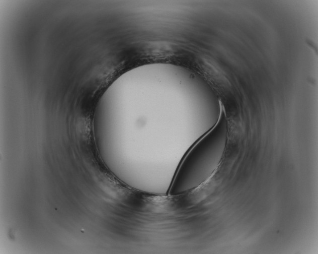 X0000097880184200804041622