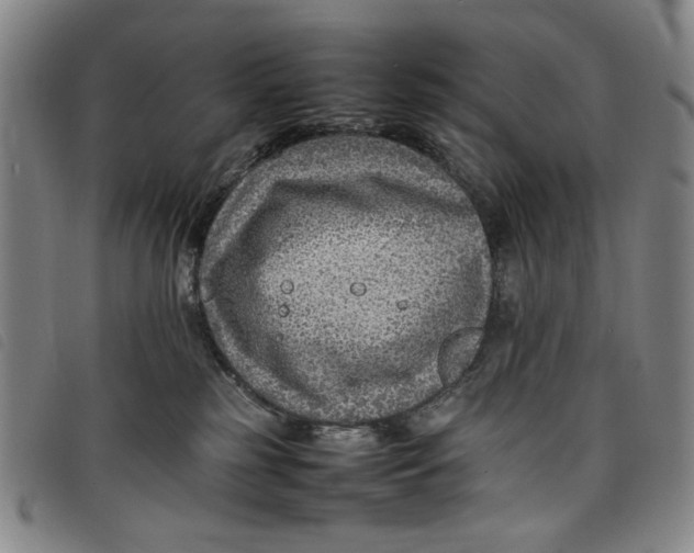 X0000097880185200804041622