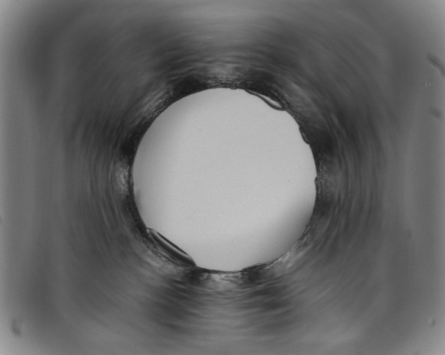 X0000097880188200804041622