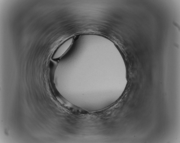 X0000097880193200804041621