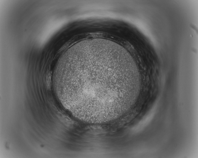 X0000097880194200804041621