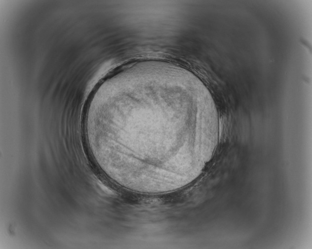 X0000097880195200804041621