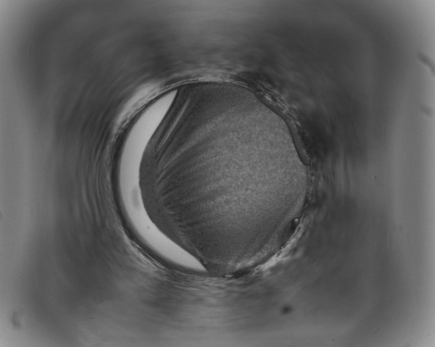 X0000097880197200804041621