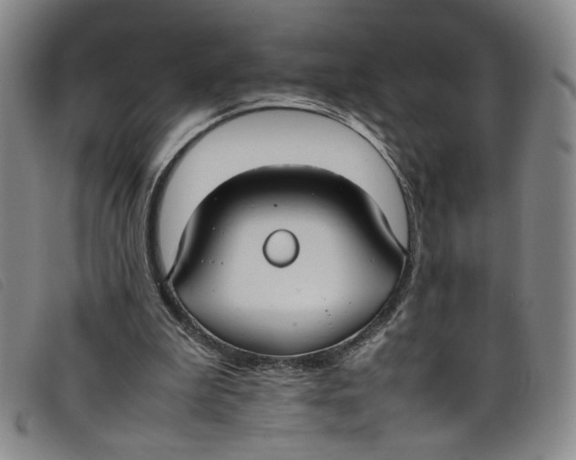 X0000097880199200804041621