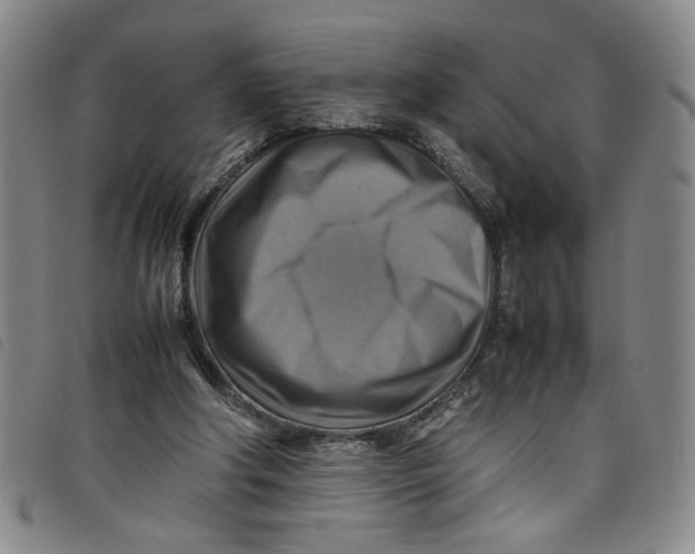 X0000097880202200804041621