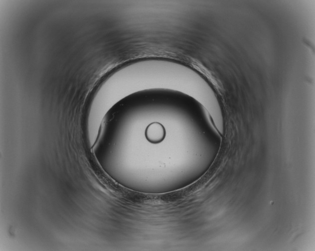 X0000097880203200804041621