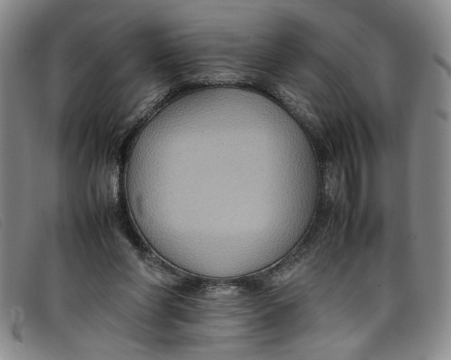 X0000097880206200804041621