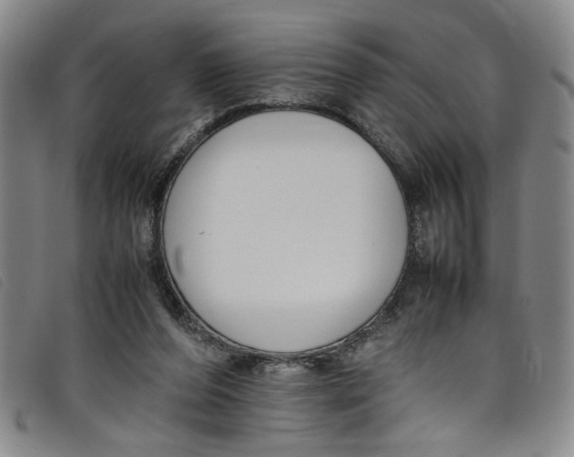 X0000097880208200804041621