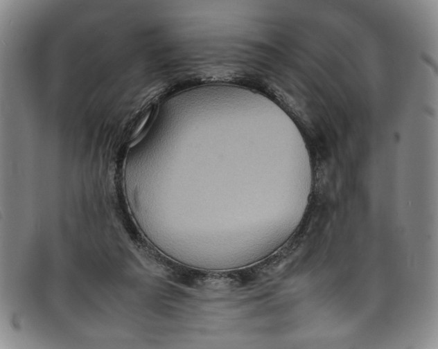 X0000097880209200804041621