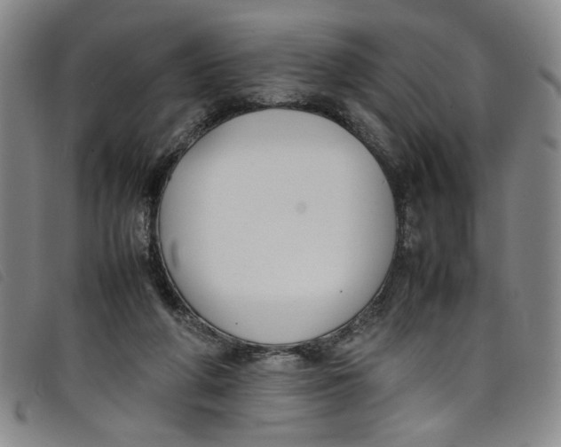 X0000097880210200804041621