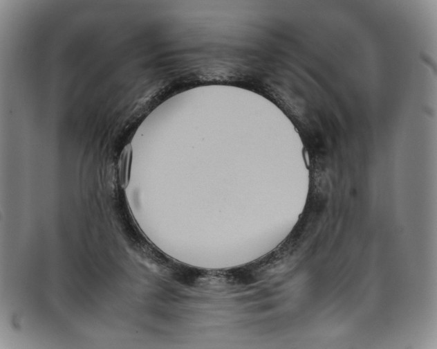 X0000097880211200804041621