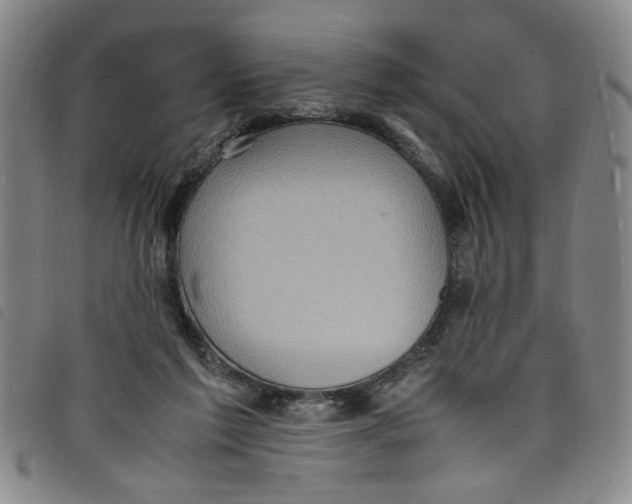 X0000097880213200804041621