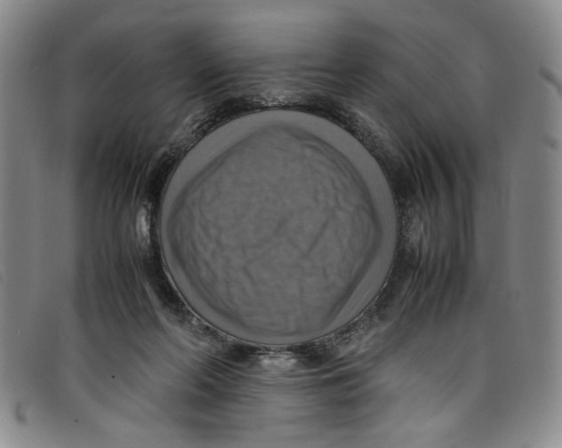 X0000097880214200804041621