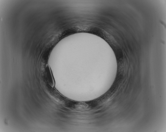 X0000097880215200804041621