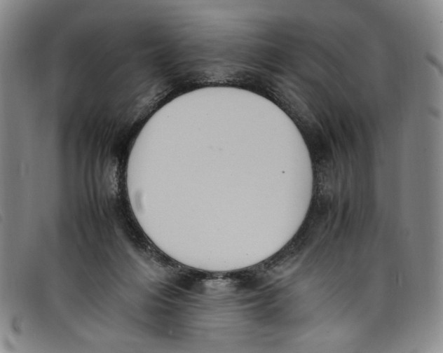 X0000097880216200804041621