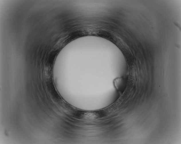 X0000097880218200804041621