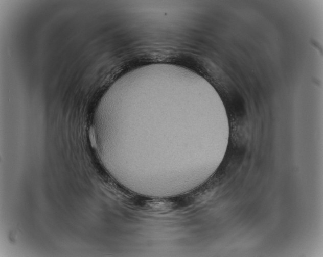 X0000097880221200804041621