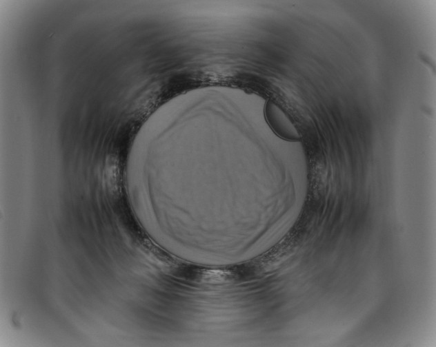 X0000097880222200804041621