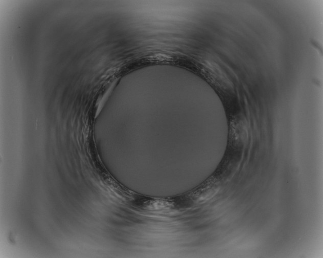 X0000097880223200804041621