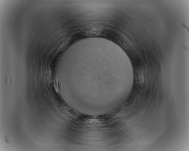 X0000097880224200804041621