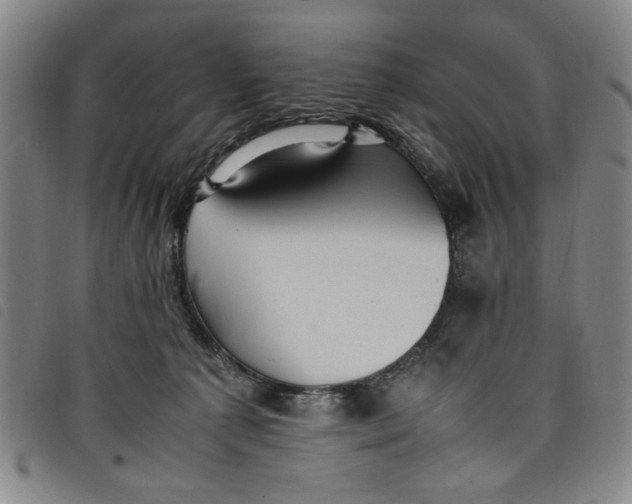 X0000097880225200804041621