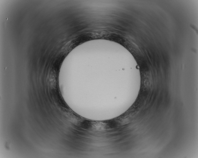 X0000097880226200804041621