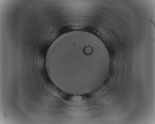 X0000097880227200804041621