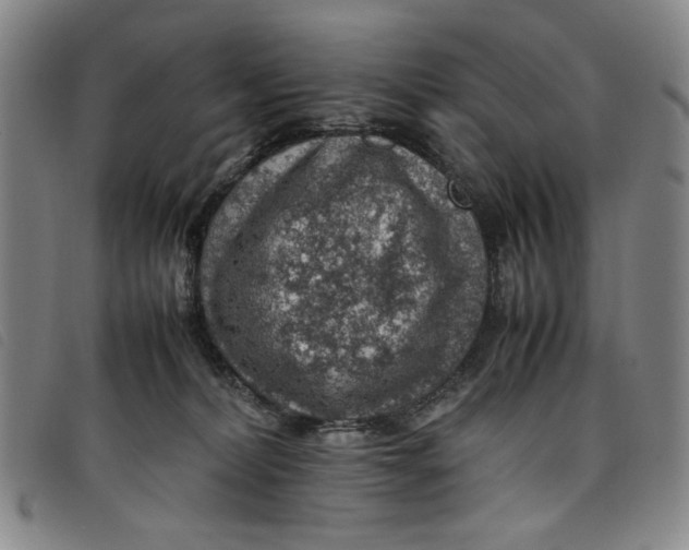 X0000097880228200804041621