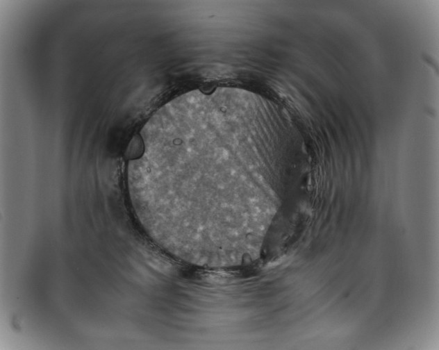 X0000097880229200804041621