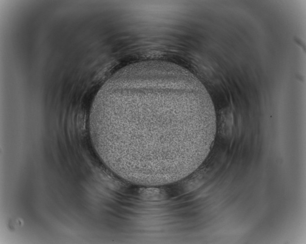 X0000097880230200804041621