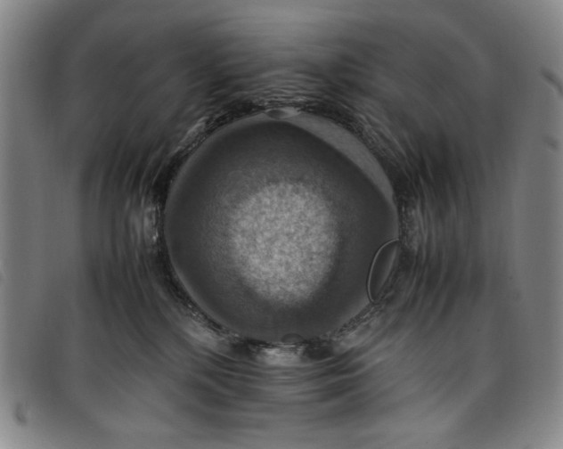 X0000097880232200804041621