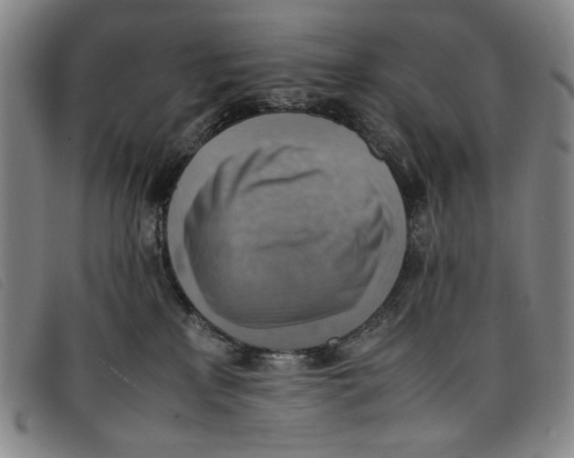 X0000097880233200804041621