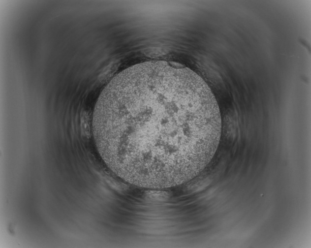 X0000097880234200804041621