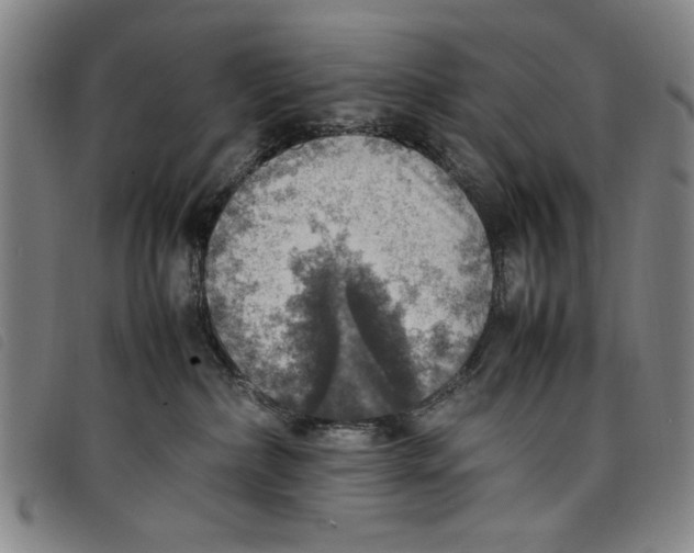 X0000097880236200804041621