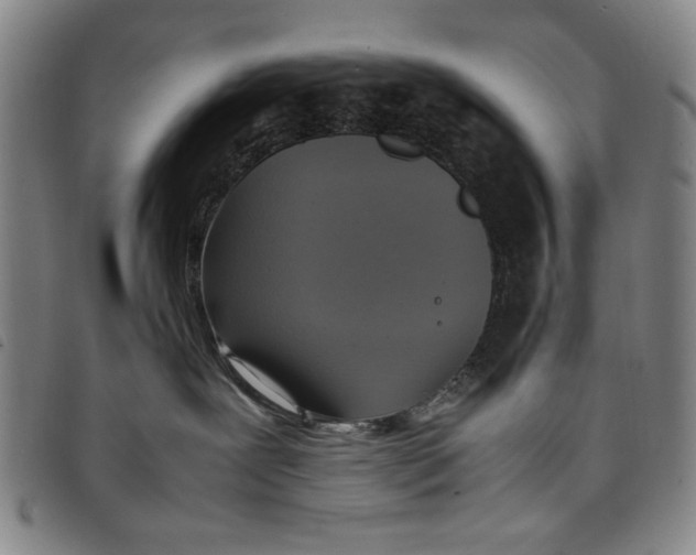 X0000097880239200804041621