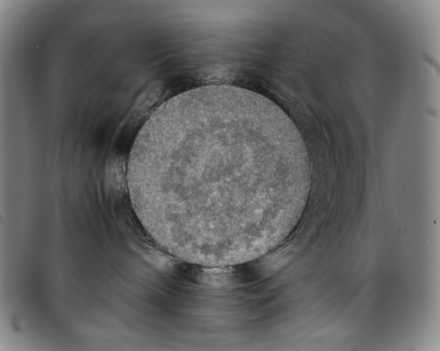 X0000097880240200804041621