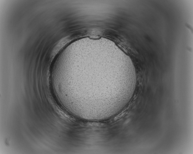 X0000097880242200804041620