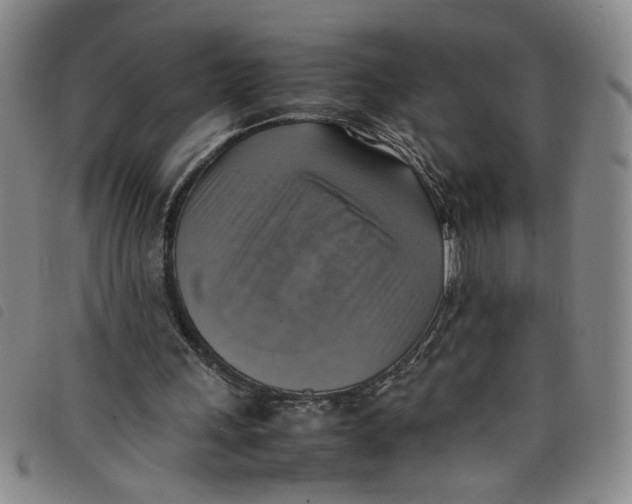 X0000097880243200804041620