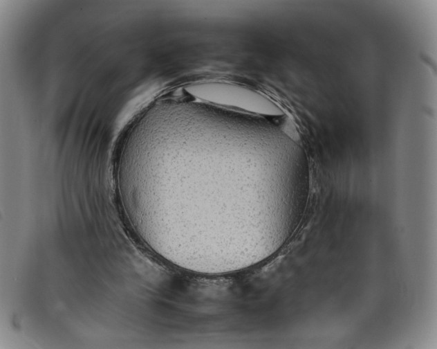 X0000097880245200804041620