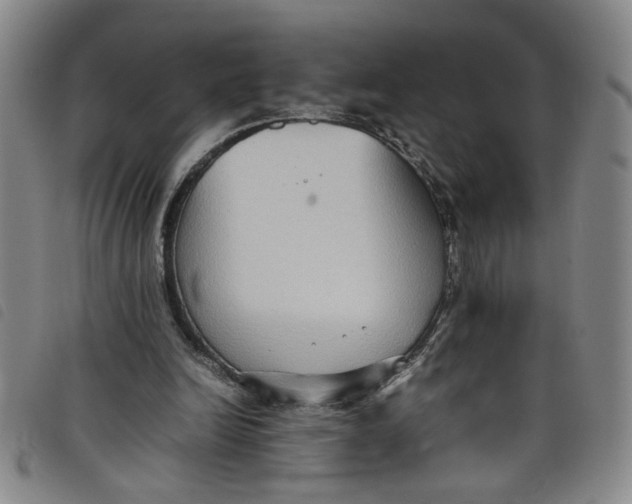 X0000097880246200804041620