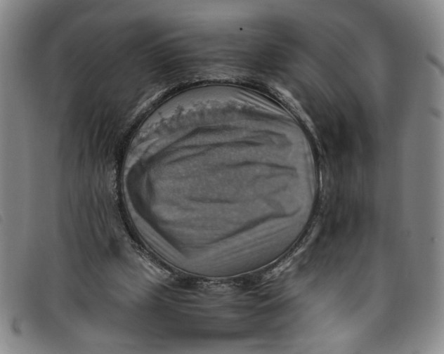 X0000097880249200804041620