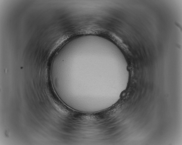 X0000097880250200804041620