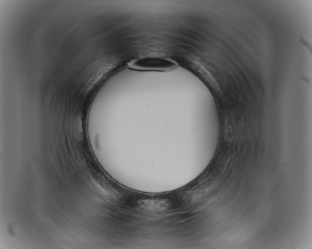 X0000097880251200804041620