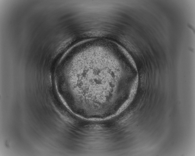 X0000097880254200804041620