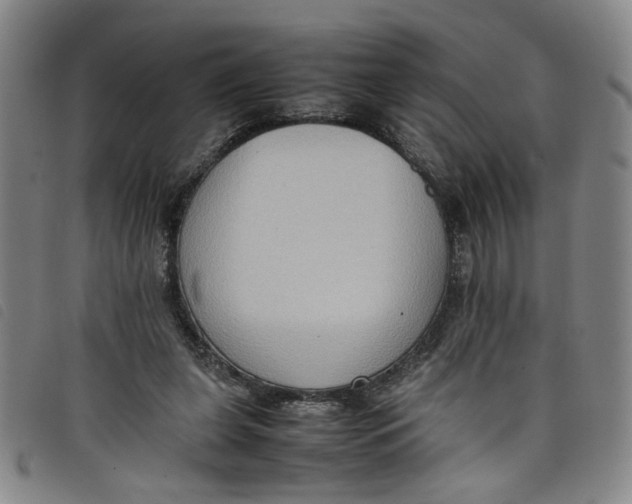 X0000097880255200804041620