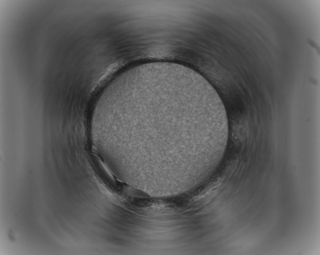 X0000097880256200804041620