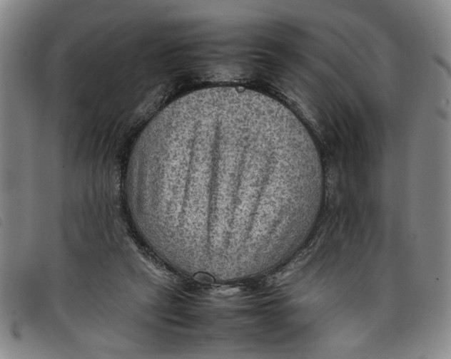 X0000097880257200804041620