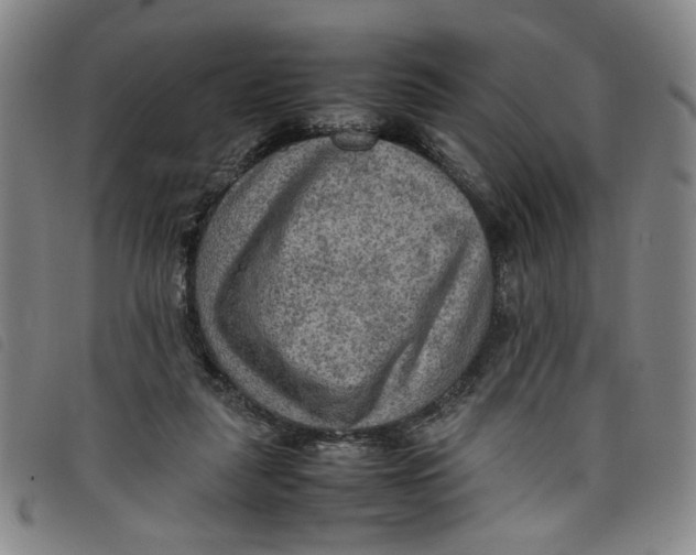 X0000097880259200804041620